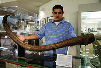 浮冰上的王者—海象，象牙既是拐杖也是长矛，因冰面融化群体跳崖