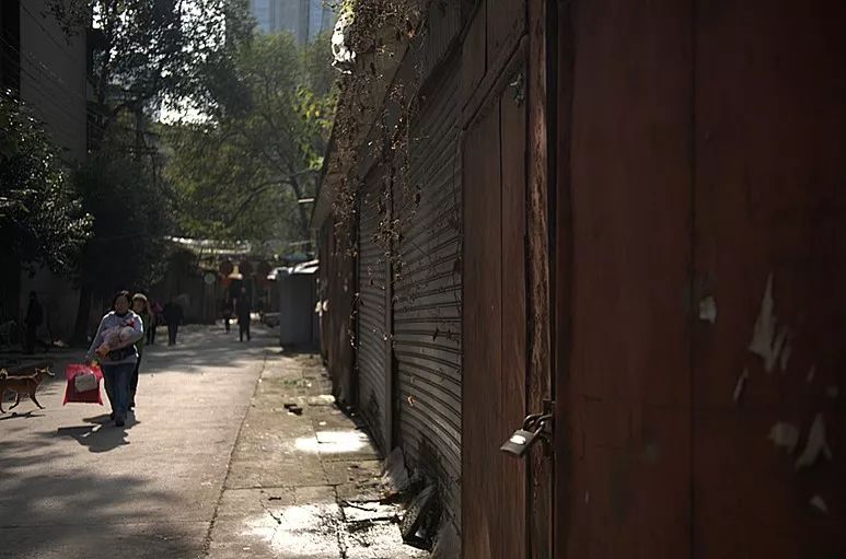 攀成钢变迁记实：曾经无缝难忘怀两鬓斑白忆当年