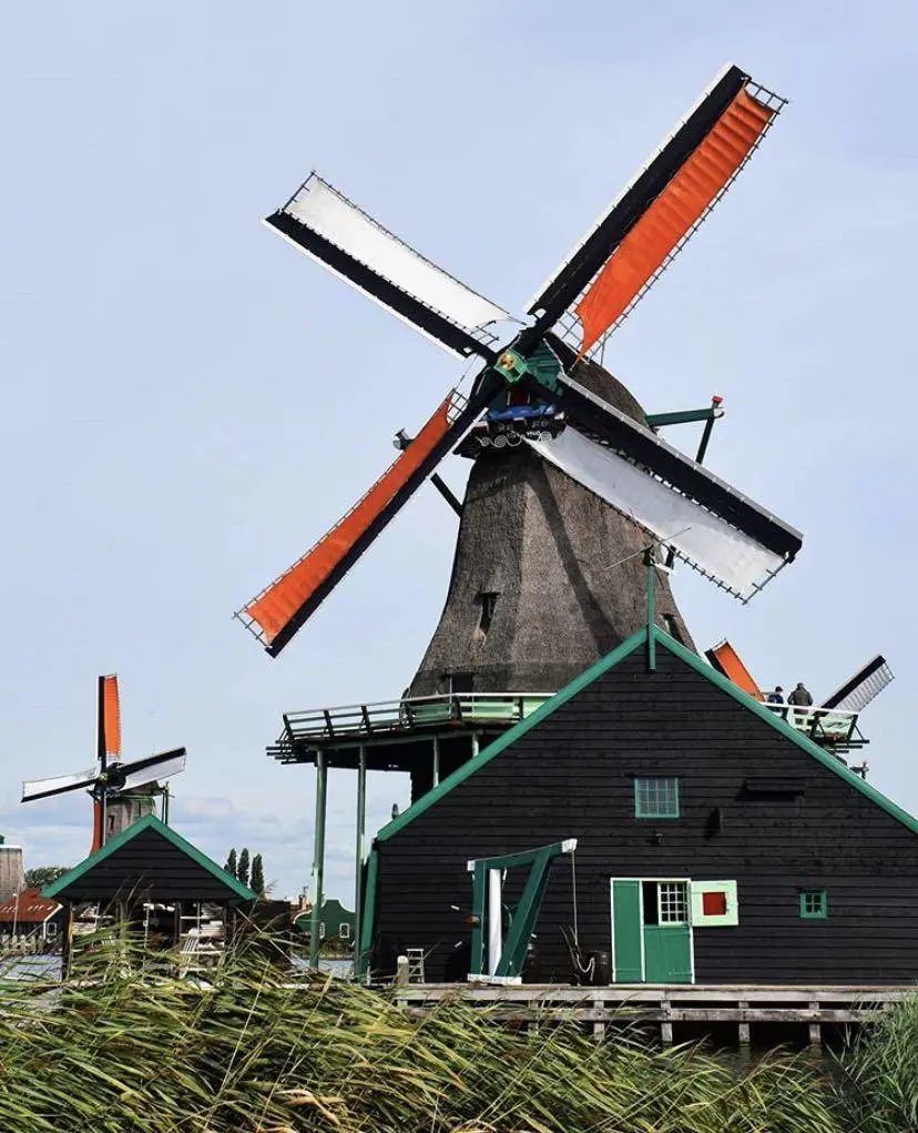 荷兰|当热爱与艺术交织,运河边的你被治愈了吗?