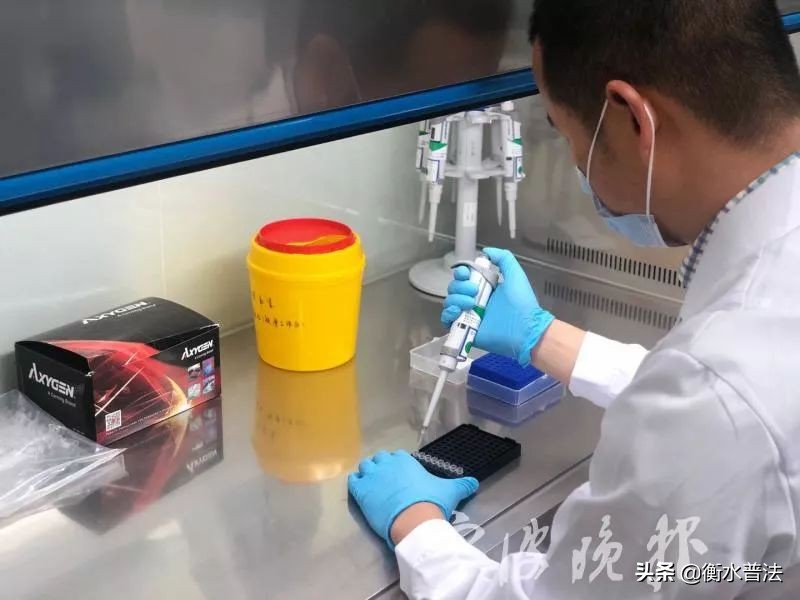 女子做亲子鉴定找爸爸,宁波16人亲子鉴定