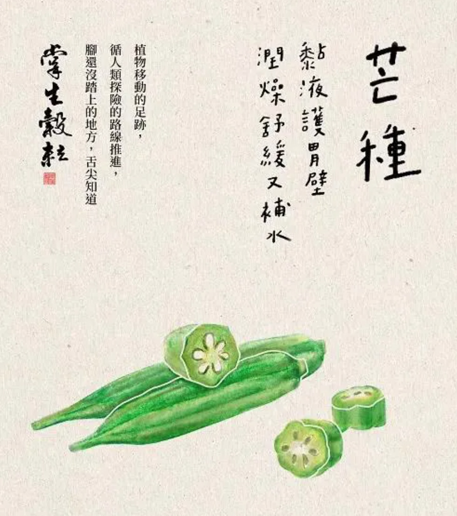 台湾掌生谷粒：24节气海报设计