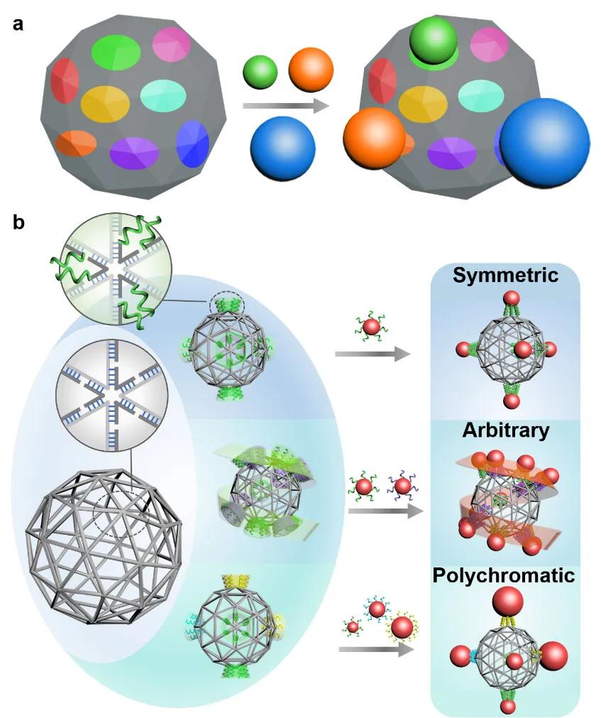动力满满！交大这些科技硬实力，快来看！