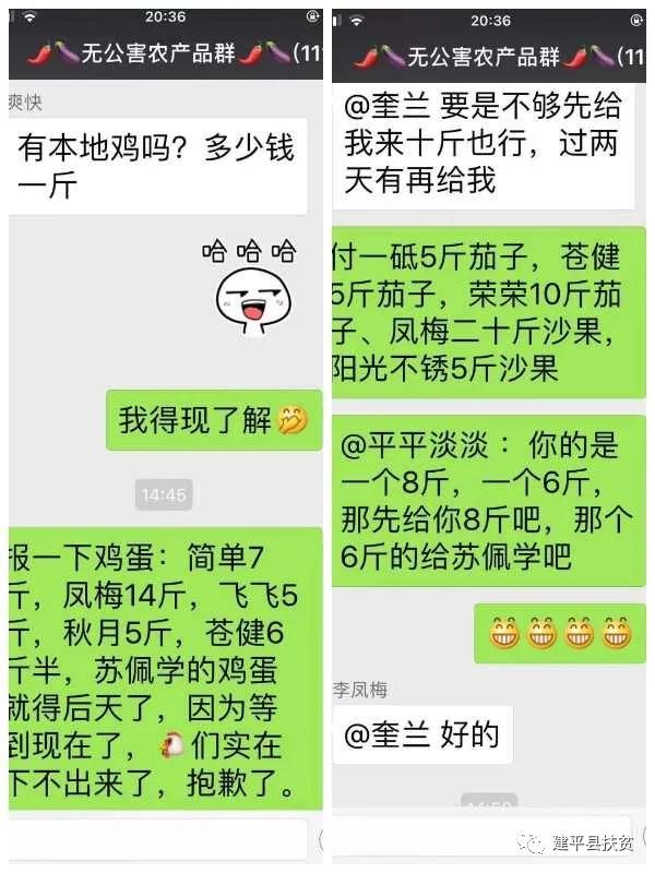我和我的村--建平县税务局驻村第一书记奎兰