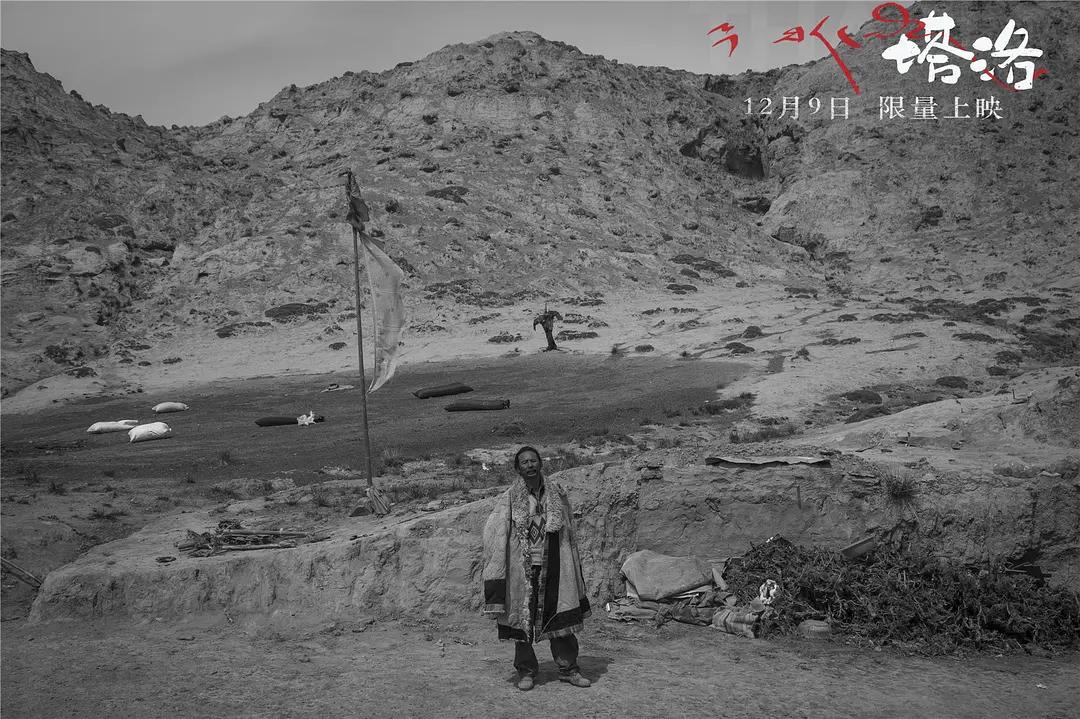 40岁牧羊人被发廊妹骗去16万血汗钱，这电影后劲太大