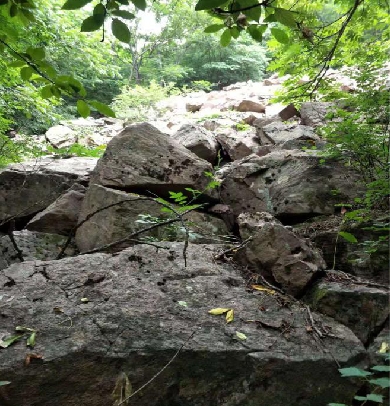 气象培训课程,气象培训的内容有哪些