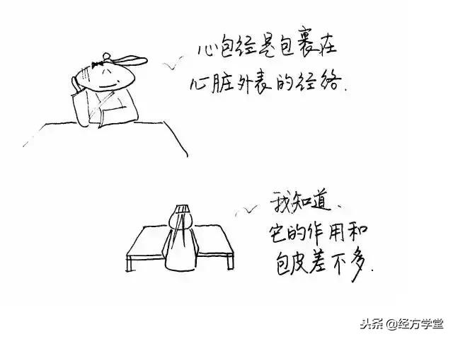 中医12经络挂图,漫画中医经络图典