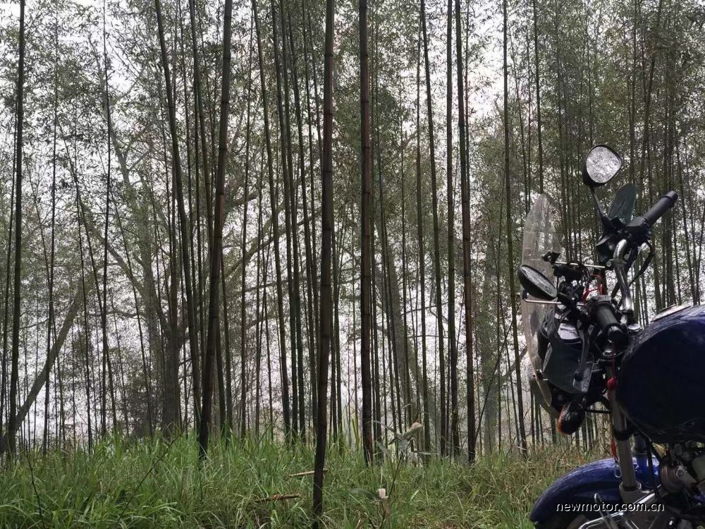 踏板摩旅皖南小川藏线攻略,老阿姨摩托自驾