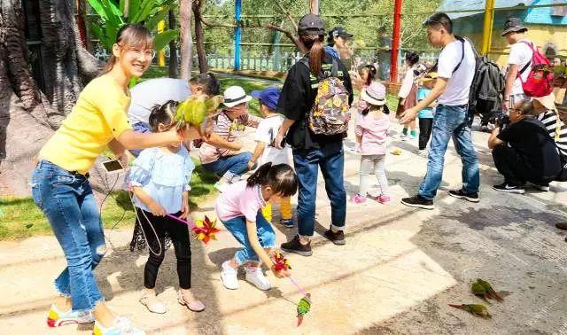 田园嘉乐比乐园纪念品,田园嘉乐比乐园活动