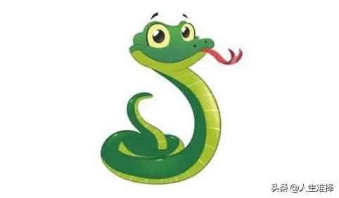 古人说的打蛇打七寸是直的吗,古人说蛇打七寸