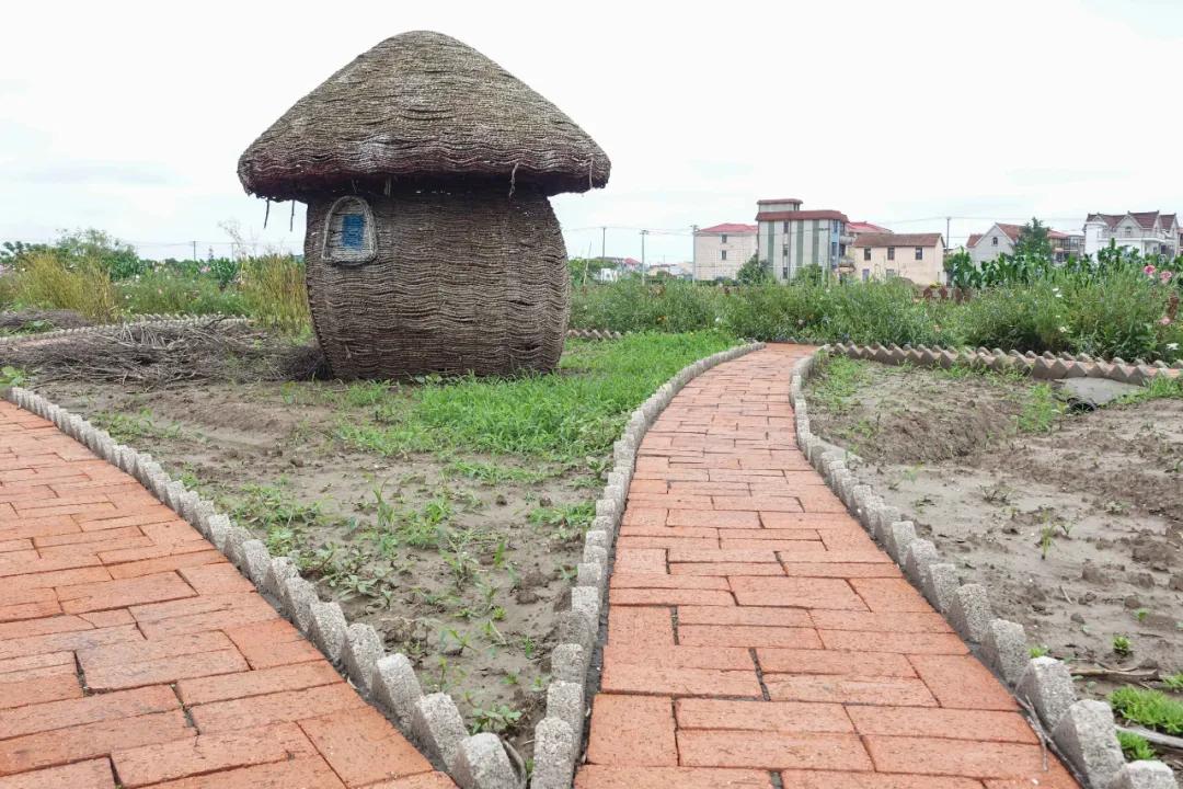 玩骑行和摄影,行走山野乡间赏田园风光