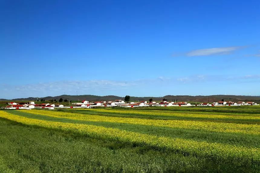 北大荒农业最新消息,北大荒农业最新新闻