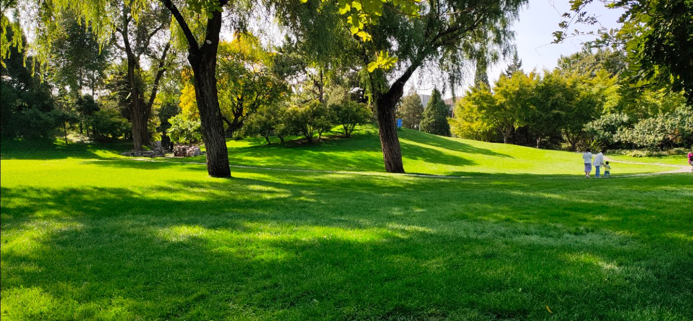 10岁戴镜视力0.8,先天性弱视视力正常