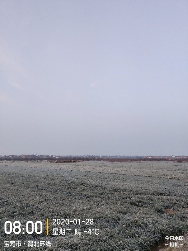 杀鱼胆破了怎么去除,胆囊被打伤