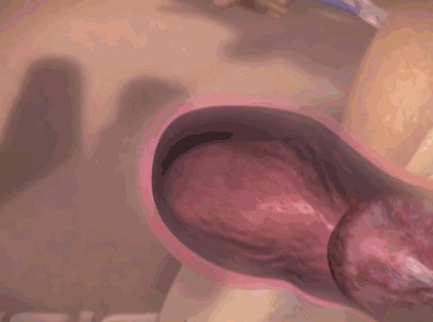 浜轰綋鑳庣洏鏈夌瀵嗗悧,鎻浜轰綋鑳庣洏