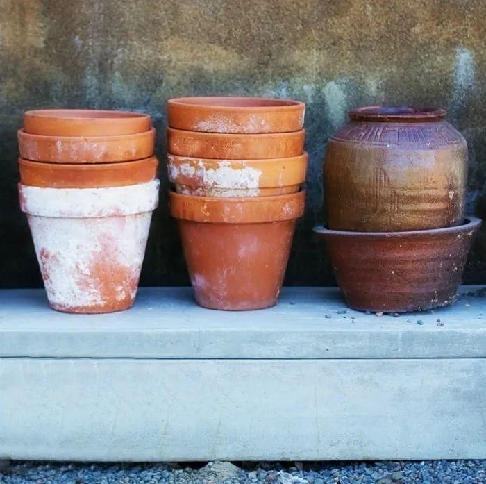 红陶盆脏了怎么洗,红陶盆盐碱怎么清理