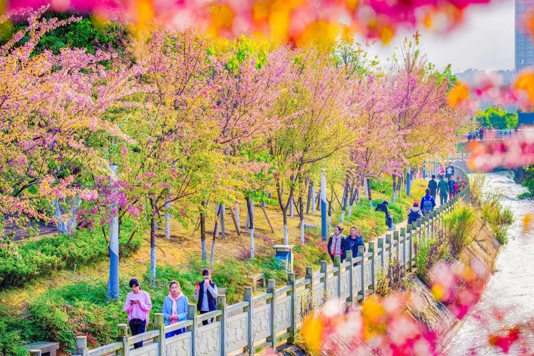 成都4天3夜旅游攻略,成都出发九寨沟川西四日小环线