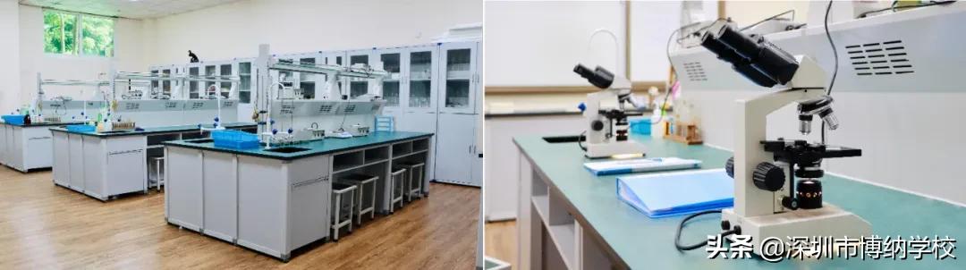 深圳南山这所宝藏国际学校，带你去打卡