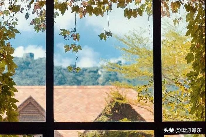 深圳东部华侨城大峡谷附近酒店,深圳东部华侨城大峡谷旅游攻略