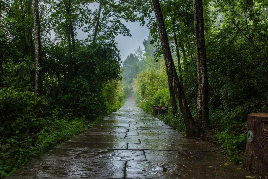 秦始皇张飞,秦始皇冬游