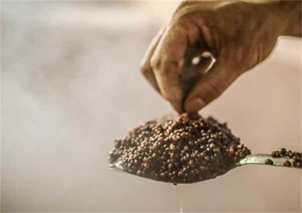 粉碎高粱酒的酿造方法视频,高粱酒的制作方法酿酒设备