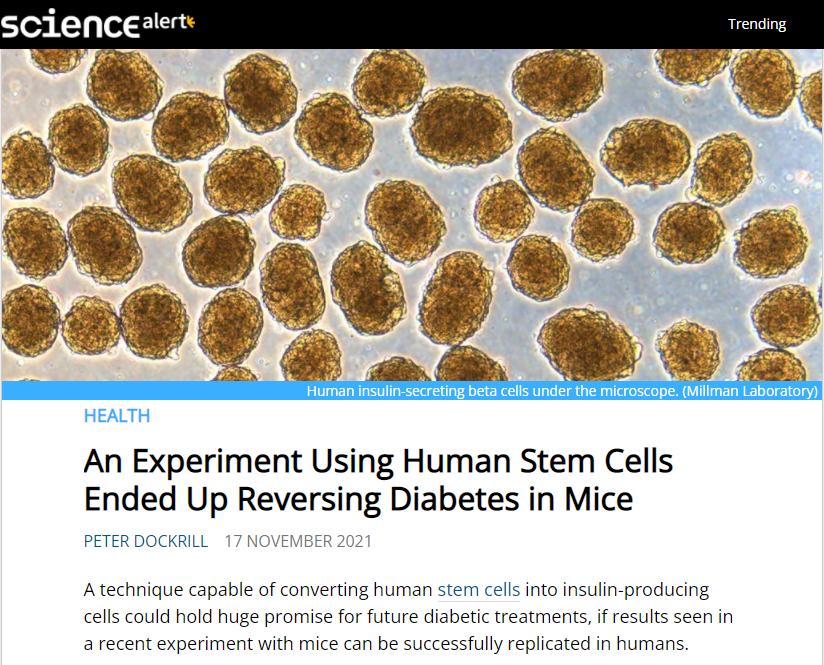 医学奇迹都是人类创造,医学奇迹干细胞