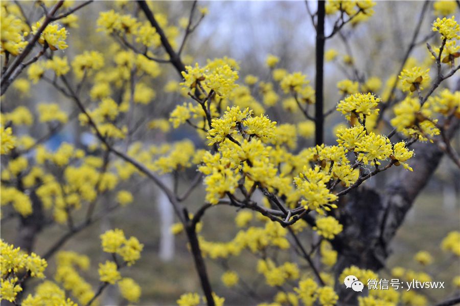 杨凌现状,杨凌最新照片