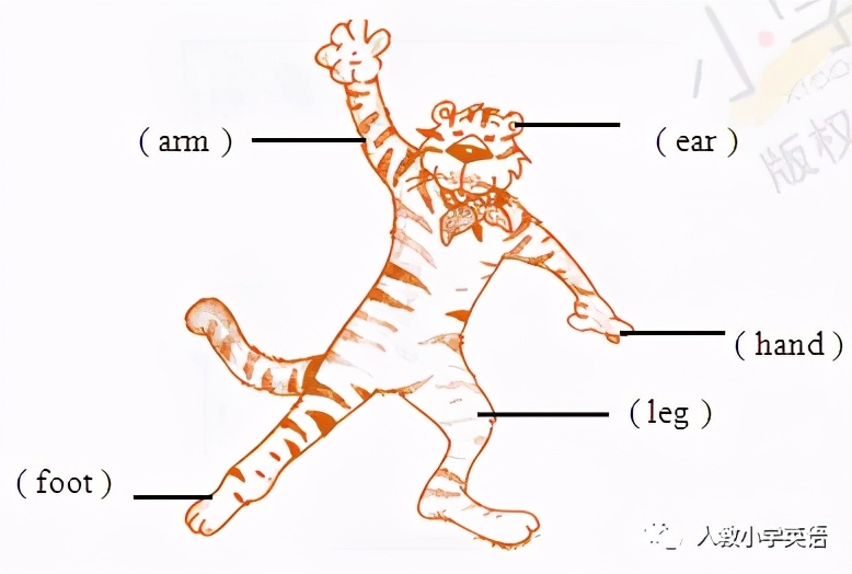 人教pep版三年级下英语期中测试卷,pep三年级上册英语测试卷期中听力