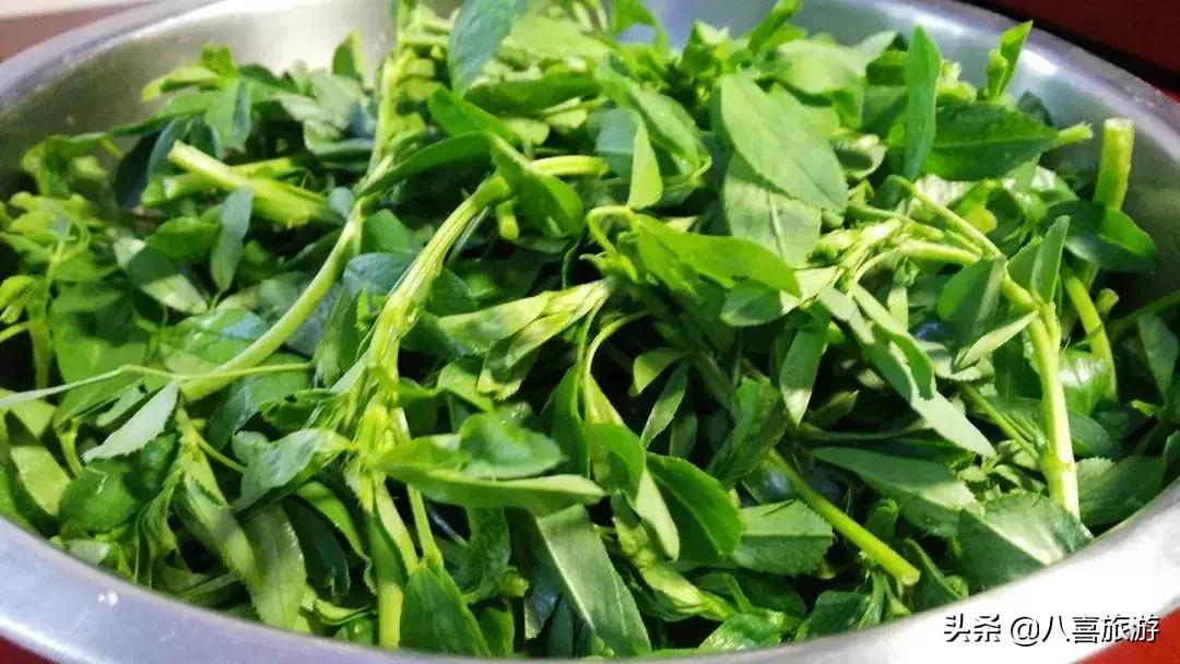 音乐节后海底捞,音乐节冲浪