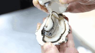 被低估的海边旅游城,被低估的海边