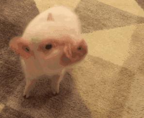 欧阳娜娜戚薇刘海,欧阳娜娜周冬雨刘昊然