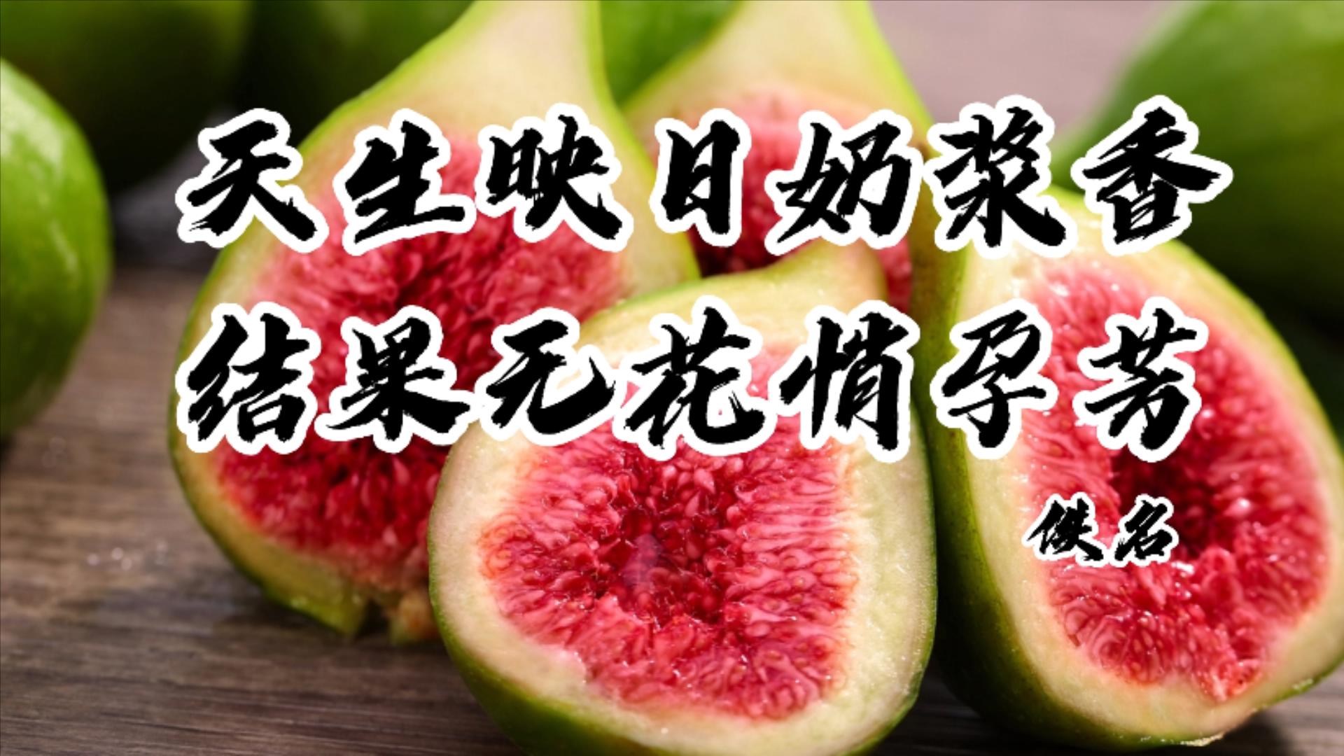 秋季这几种水果吃多了很养人,秋季绝不能多吃的10种水果