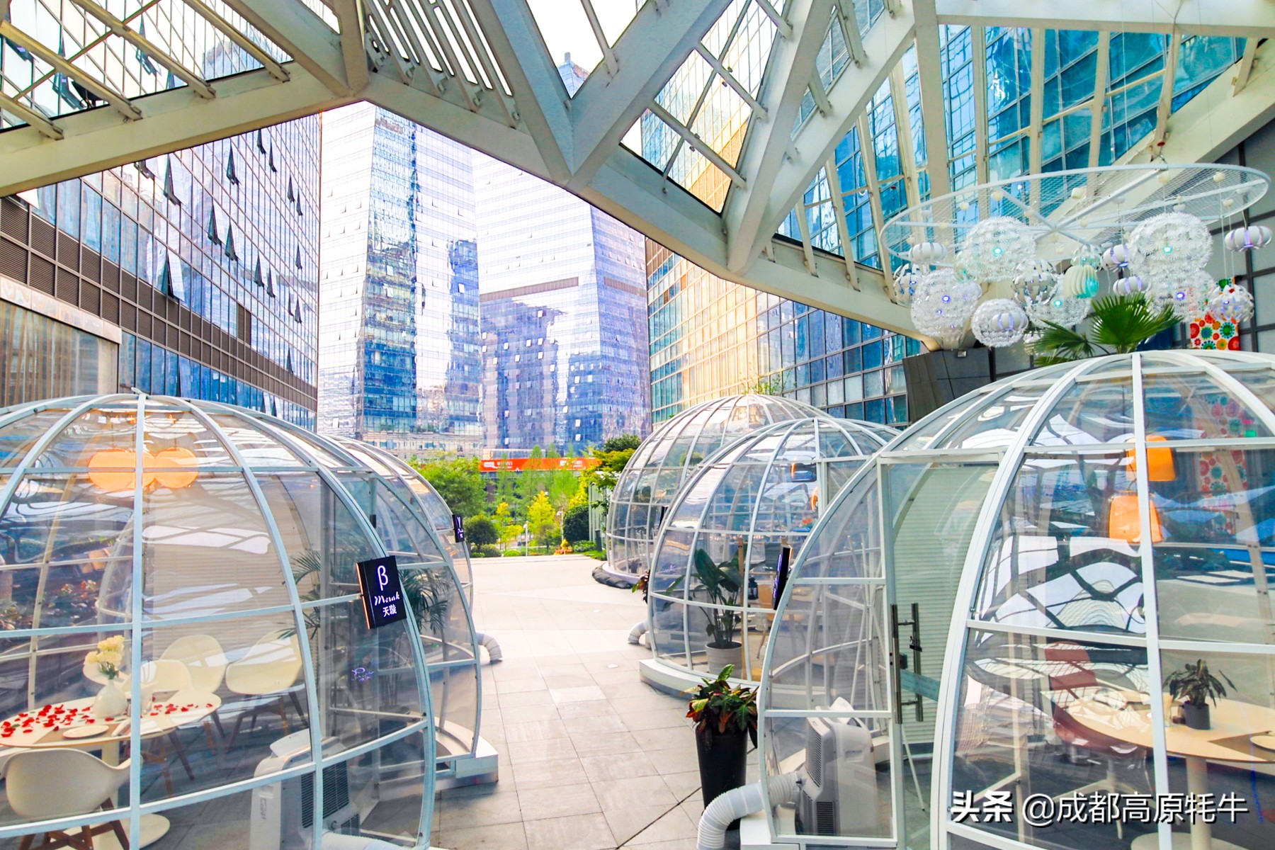 theoasistavern绿洲,theoasis清迈