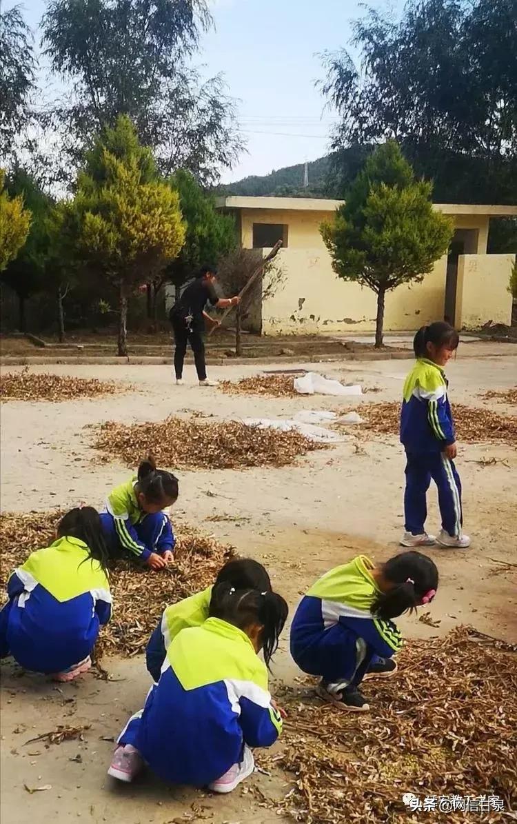 金太阳幼儿园校门,延安市甘泉谢金庄幼儿园