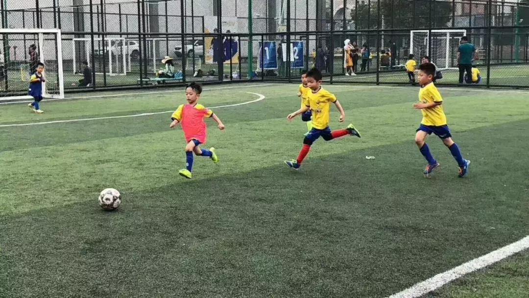 青少儿体育培训机构哪家比较专业,儿童体育培训哪家专业