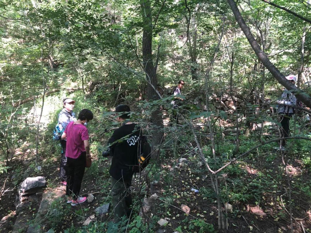 北京文博保护文物,北京最美文物守护人