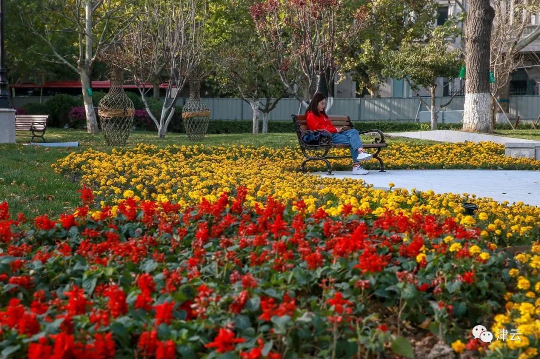 中心公园现状,城市中心公园