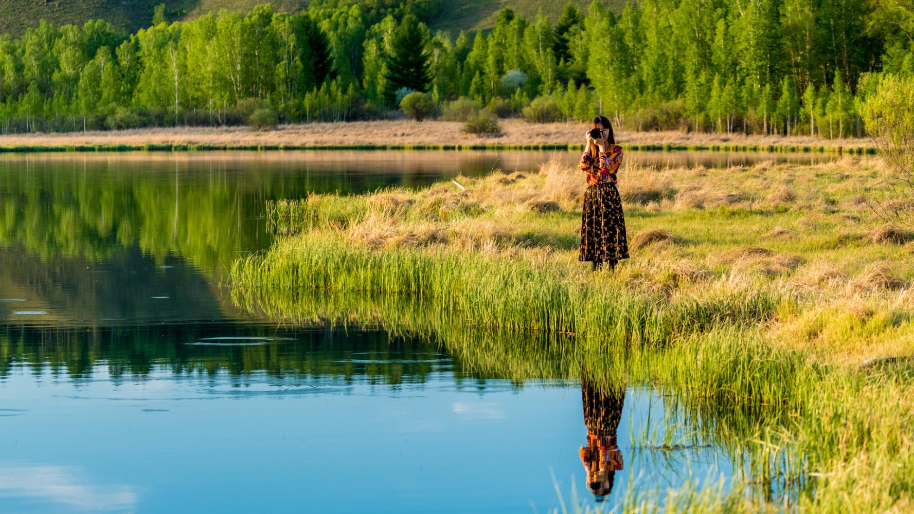 风吹草低见牛羊的呼伦贝尔大草原,风吹草低见牛羊大草原的视频