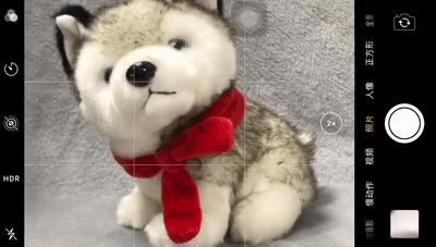 手机摄影拍照效果,手机拍照技巧和手机摄影分享