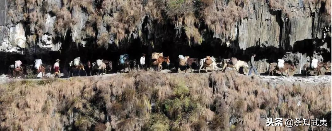茶马古道纪录片完整,一分钟了解泛亚铁路