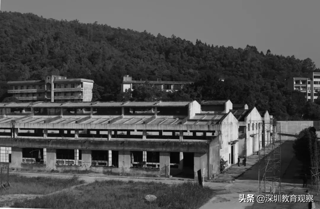 走名校vol.8|三年，明德国际体系走出怎样一条新路？