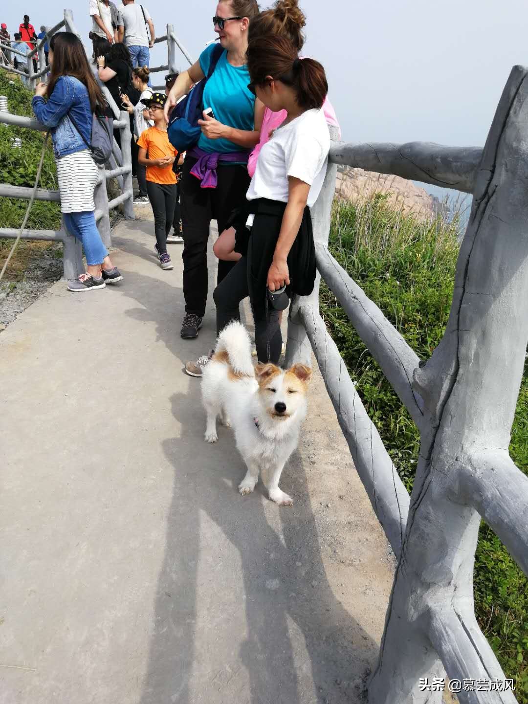 自由行去枸杞岛,枸杞岛自由行