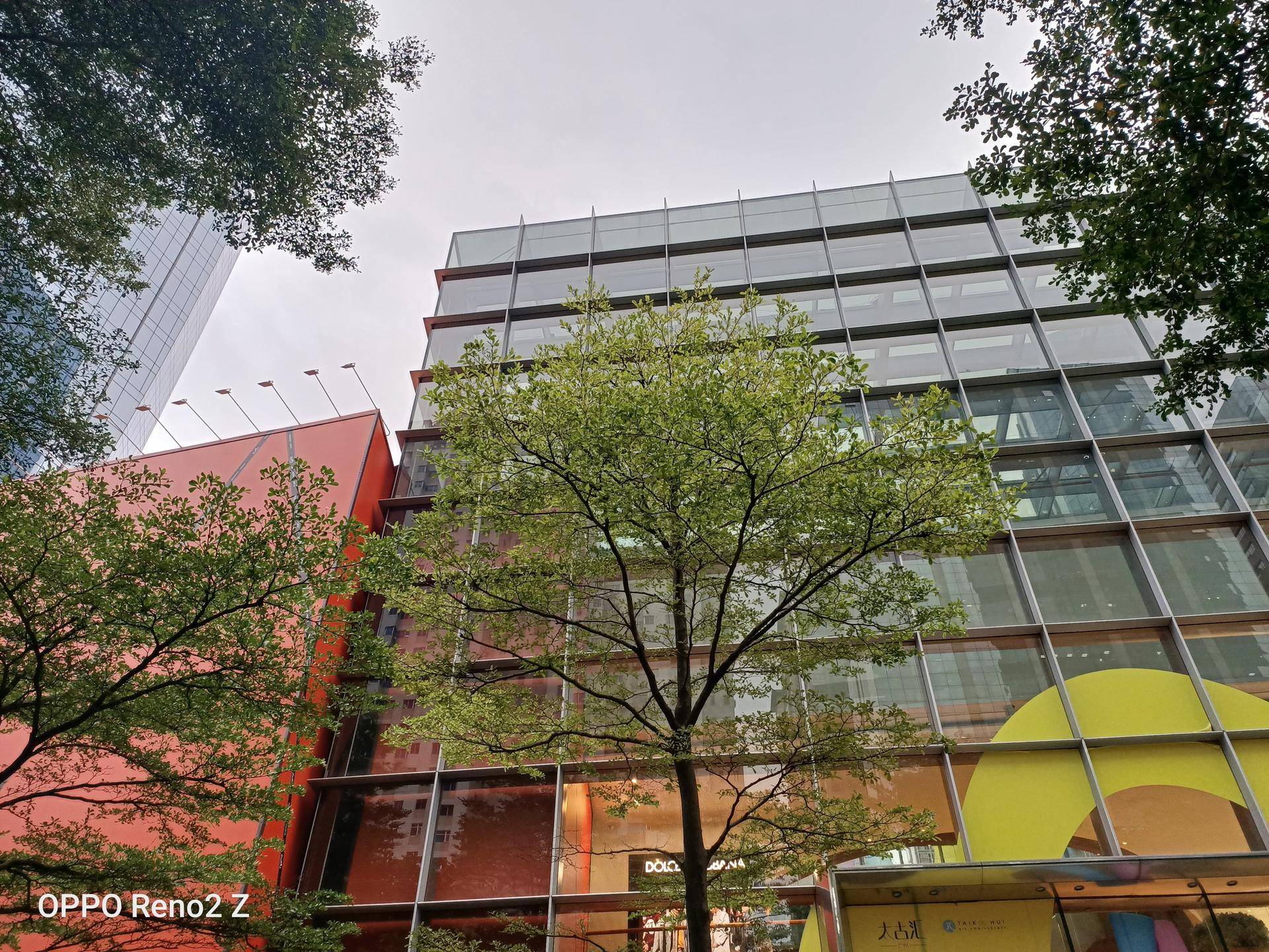 renoace拍照跟荣耀20p哪个好,荣耀20pro和opporeno拍照对比