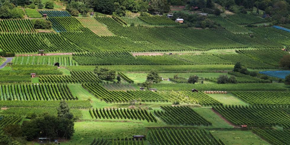 德国生活用品特产,德国风土人情旅游攻略