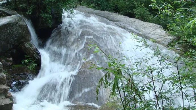 驼梁七月草原美，金莲妖娆入画里/郝贵云
