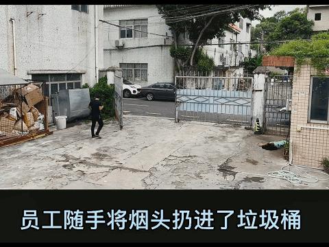 这狗狗的智商也是逆天了,这只狗的智商让主人觉得不可思议