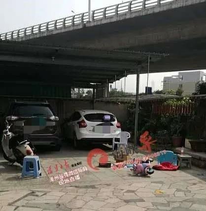 角美杀人事件最新通报,角美发生凶杀案