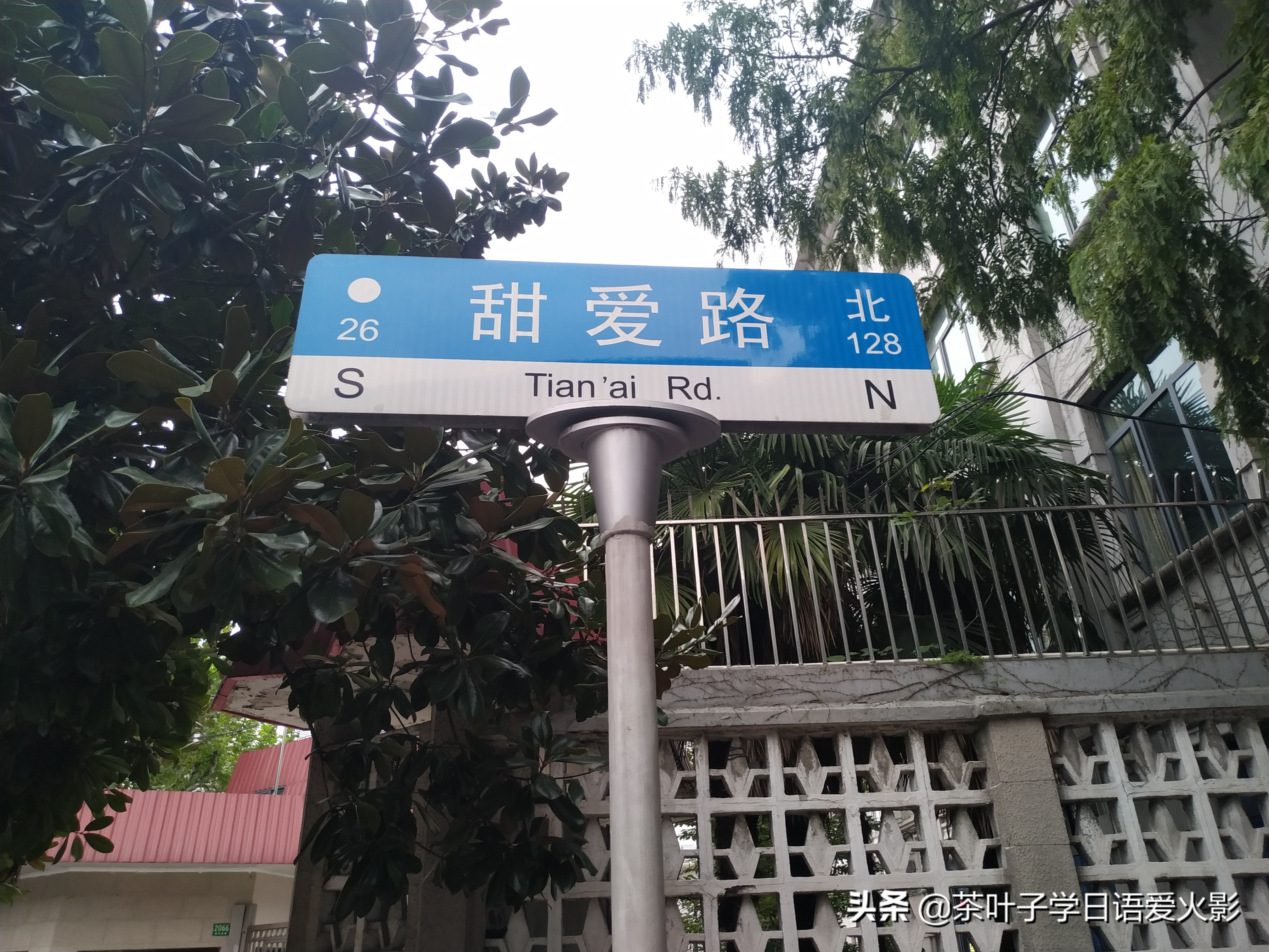 上海甜爱路，打卡不要错过哦，还有鲁迅公园