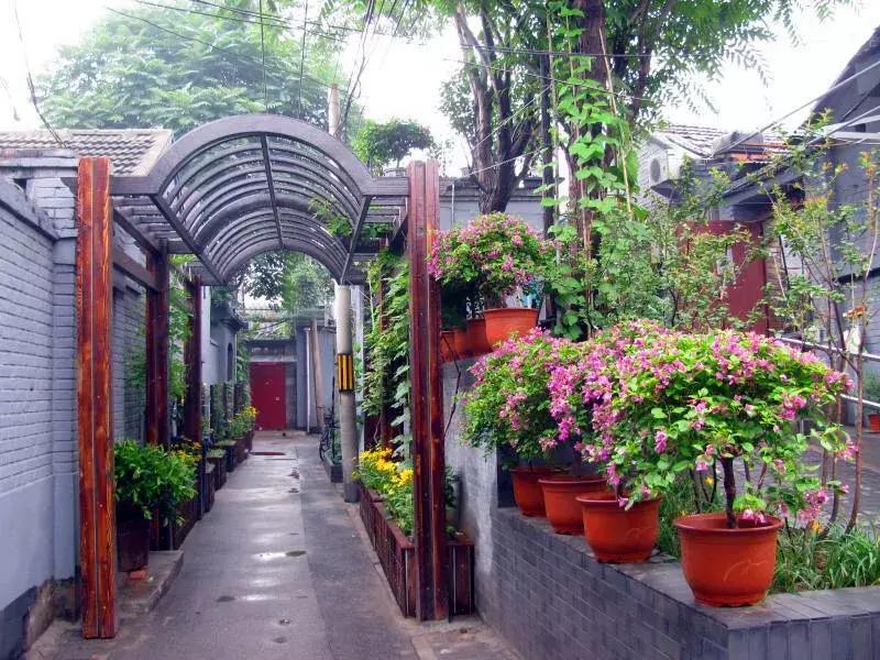 2019北京最美街巷,西城最美街巷