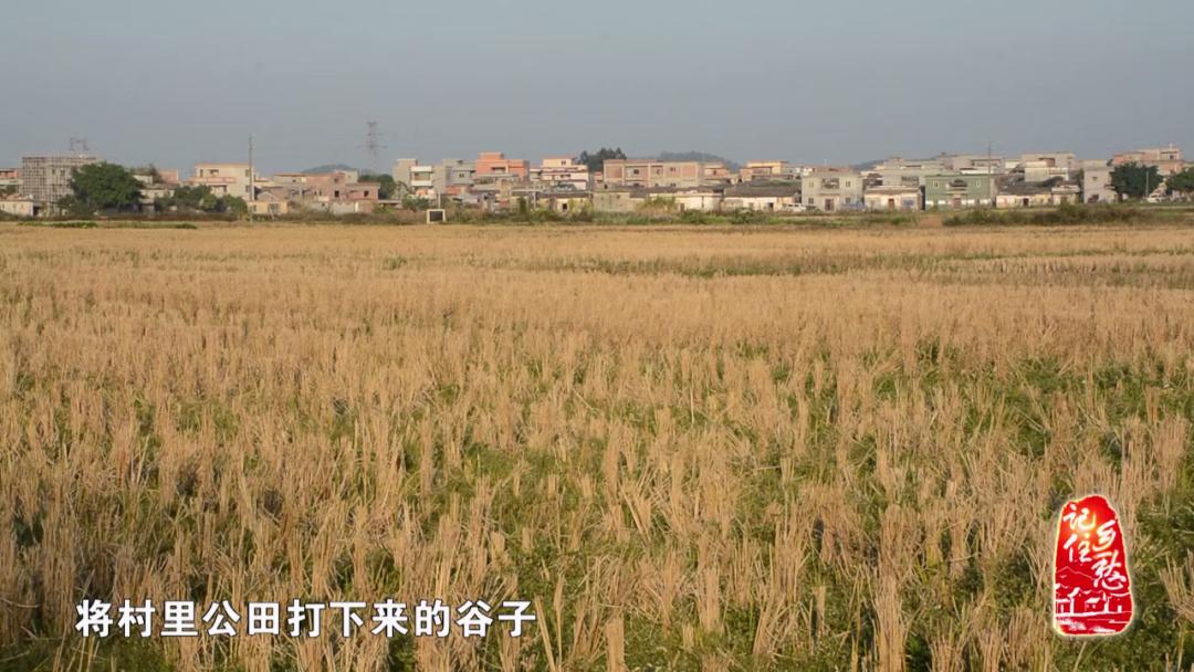 奖学“谷”,你听说过吗?