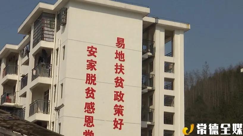 桃源西安镇有黄桃，有锥栗，还有扶贫车间，老百姓安居乐业